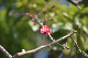 image0333