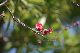 image0334