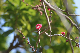 image0335