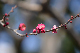 image0337