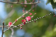 image0338