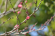 image0339