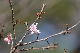 image0340