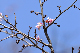 image0341