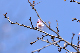 image0342