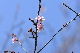 image0343