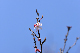 image0344