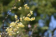 image0347