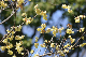 image0348
