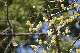 image0349