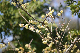 image0352