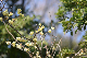 image0353