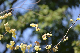 image0354