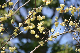 image0355
