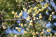 image0356