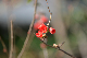 image0357