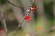 image0358