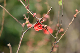 image0360