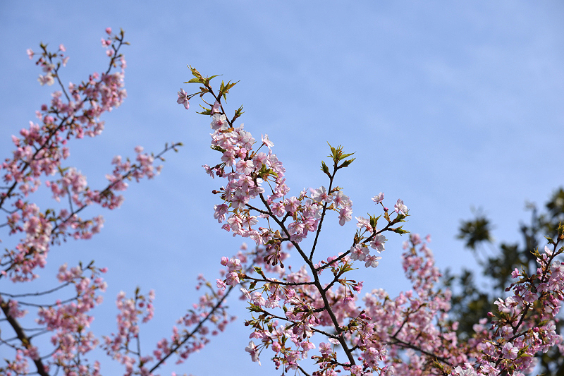 image0382