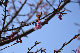 image0265