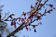 image0267
