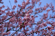 image0277