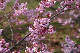 image0278