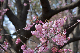 image0282