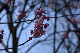image0285