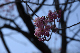 image0286