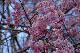 image0287