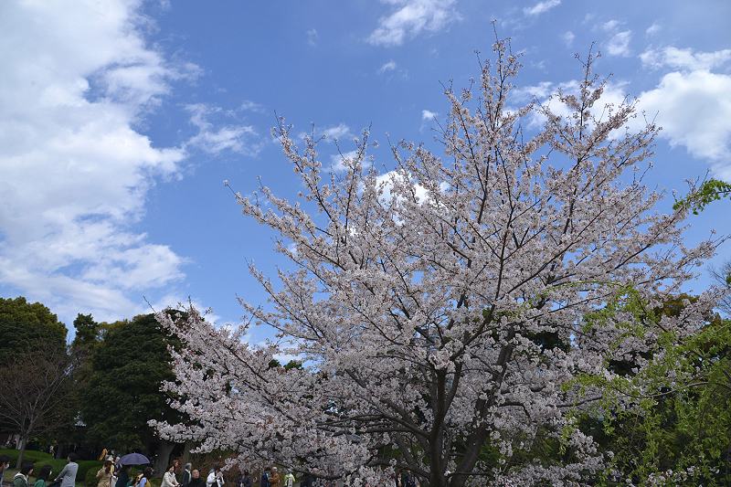 image0100