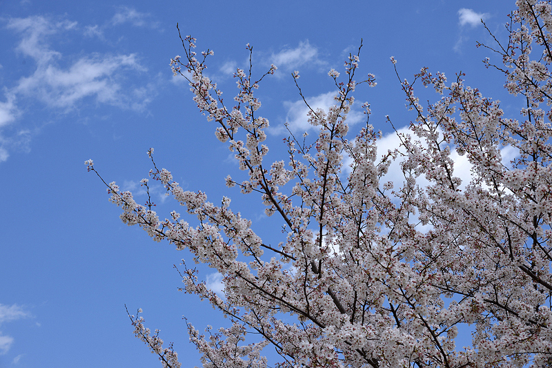 image0101
