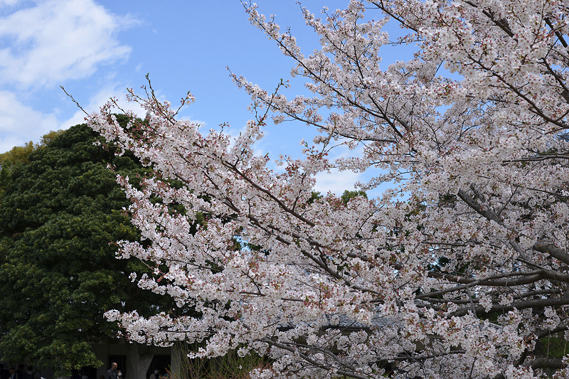 image0102