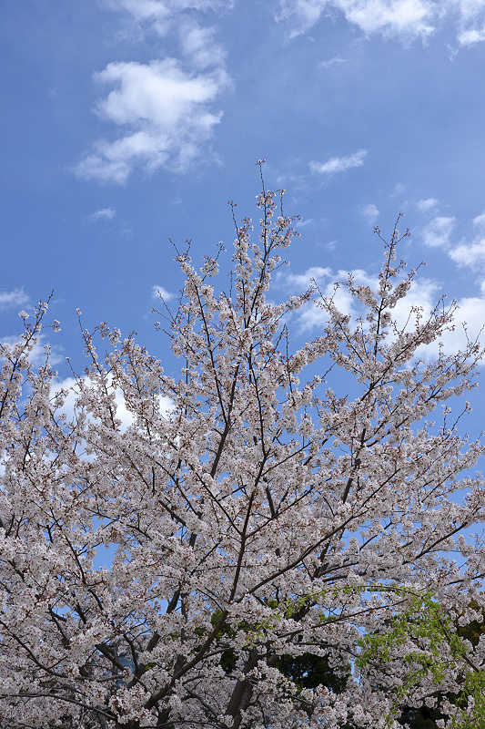 image0103
