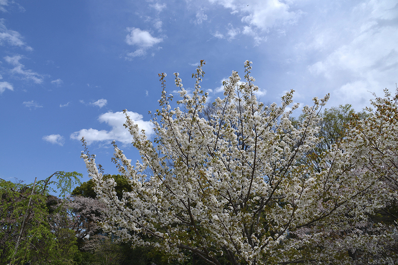 image0104