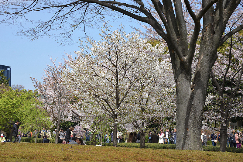 image0112