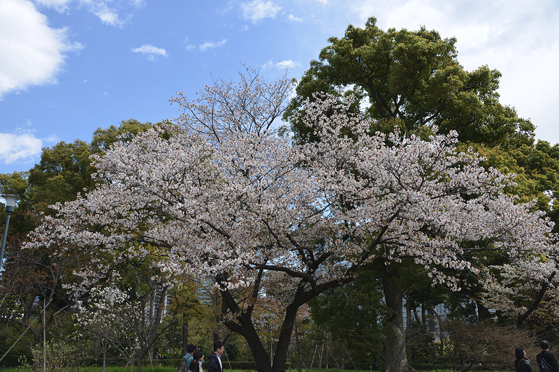 image0113