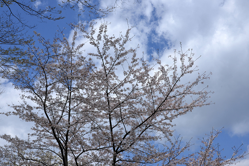 image0115