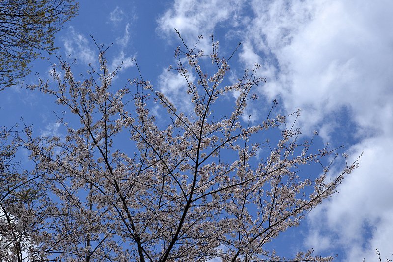 image0116