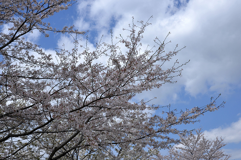 image0117