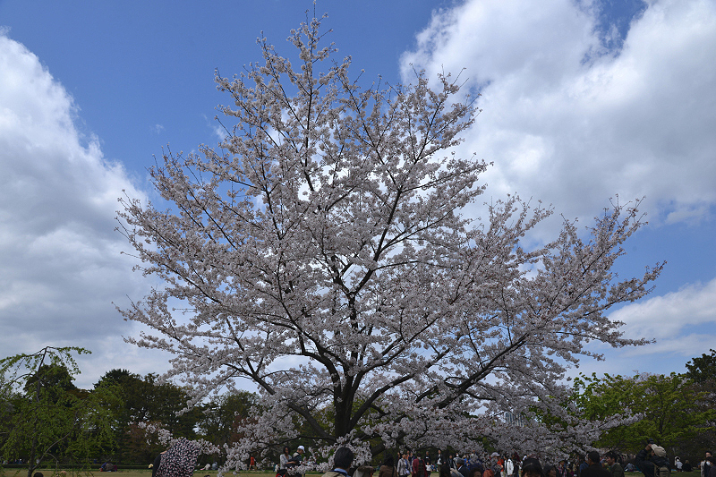 image0118