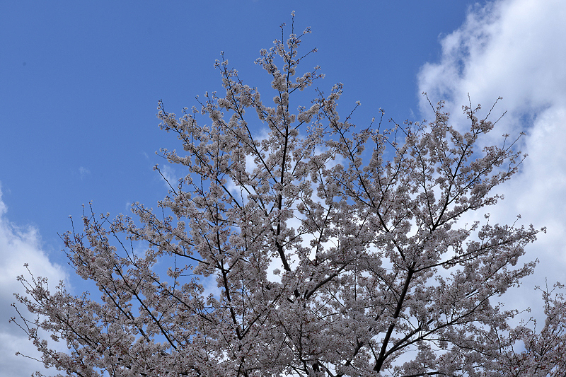 image0119