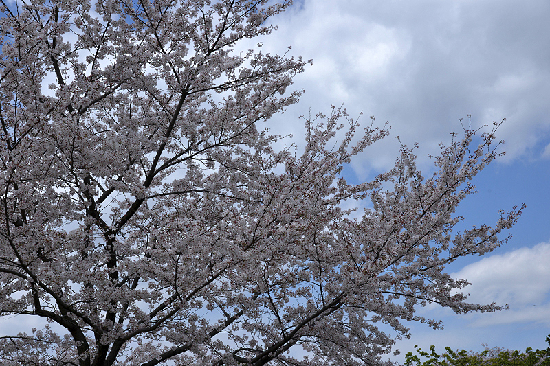 image0120