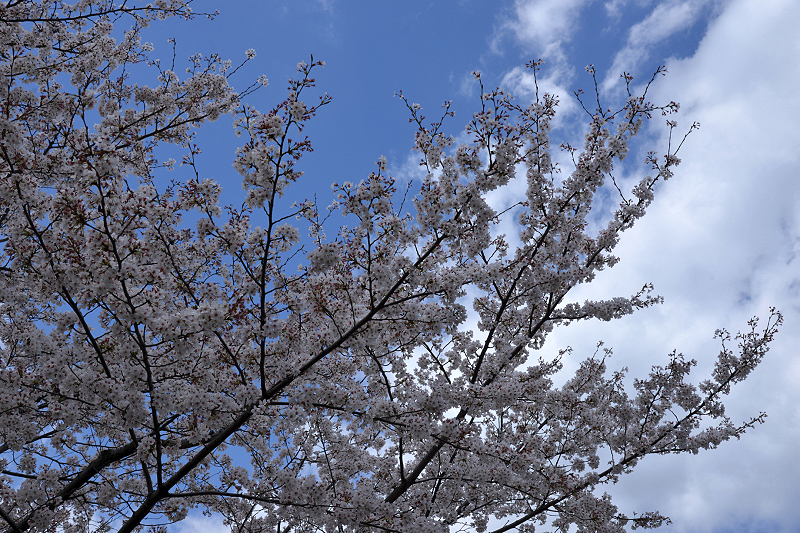 image0121