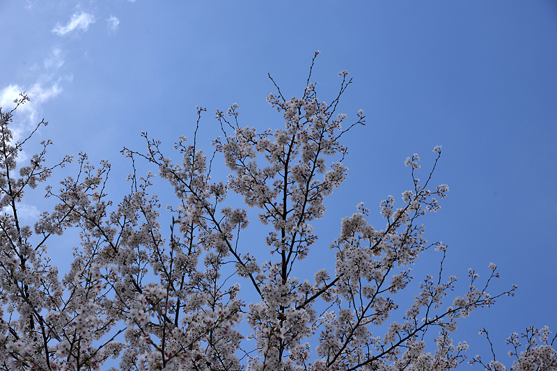 image0122