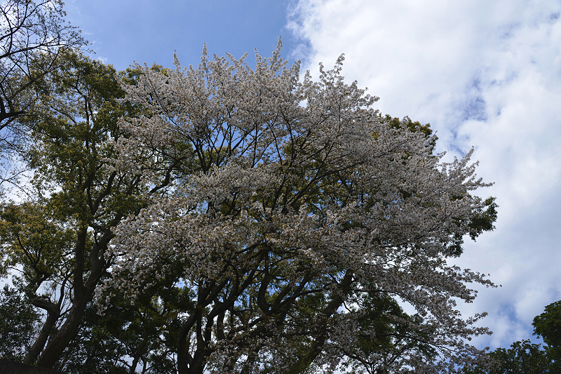 image0123