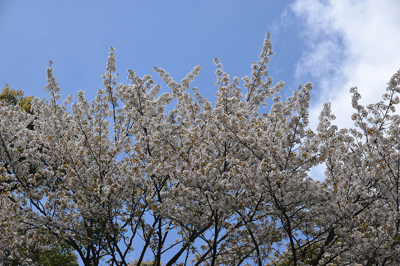 image0124