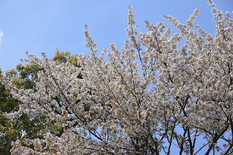 image0126
