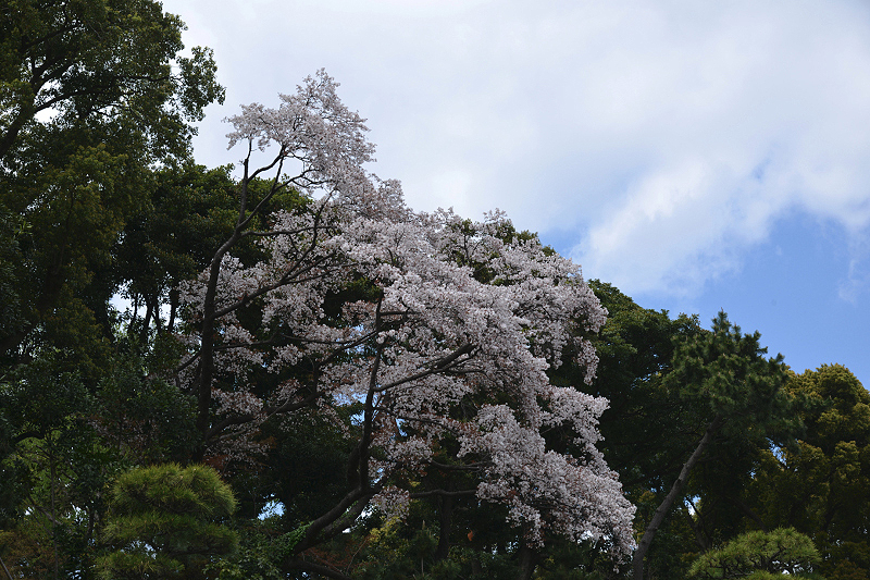 image0128